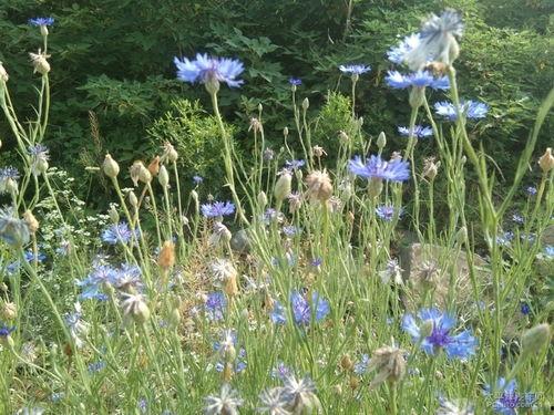 丁香六月激情国产